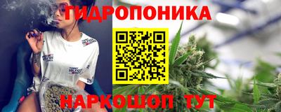 мяу мяу мука Новозыбков