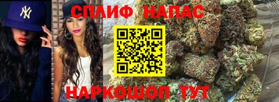 мяу мяу мука Новозыбков