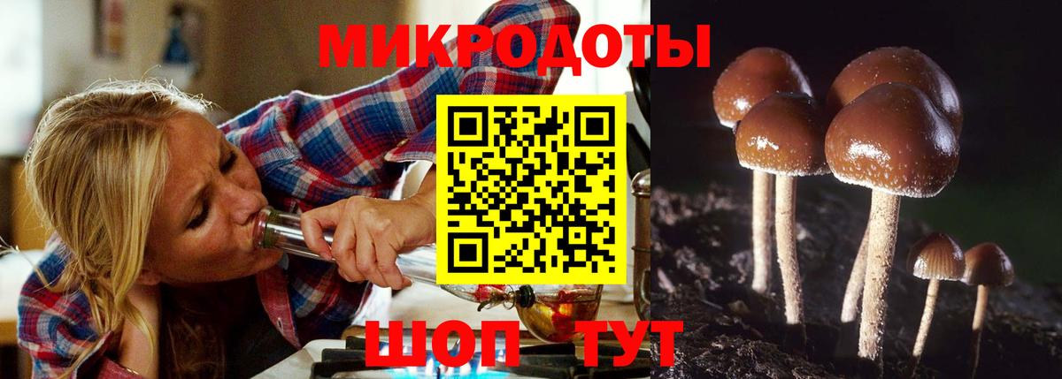 Галлюциногенные грибы Psilocybine cubensis  Вход с VPN  Сухой Лог 