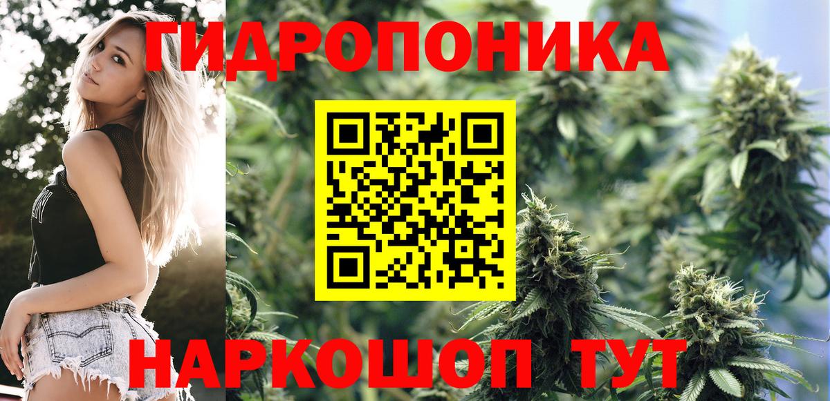Бошки Шишки Bruce Banner  Марихуана тримм  Вход с VPN  Сухой Лог  МАРИХУАНА тримм 
